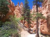 Bryce Canyon